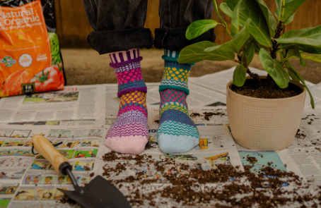 Solmate Socks Petunia Crew Socks