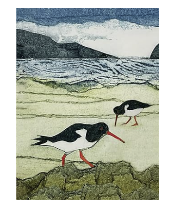 Wild Birds Pocket Notebook: Oystercatcher