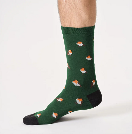 Thought Socks Men's Christmas Tree Robin Socks Hanging Gift Box