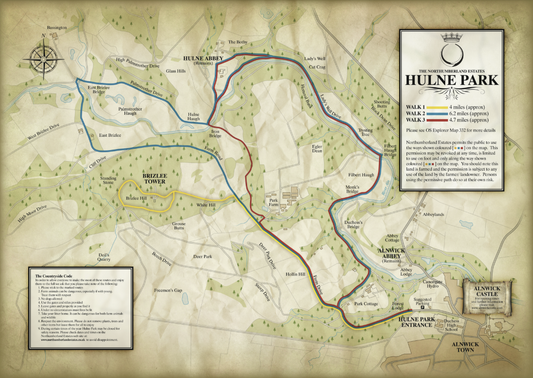 A Walk In Hulne Park