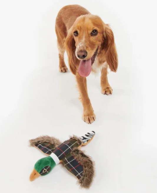 Our Christmas Gift Guide for Your Fur Babies