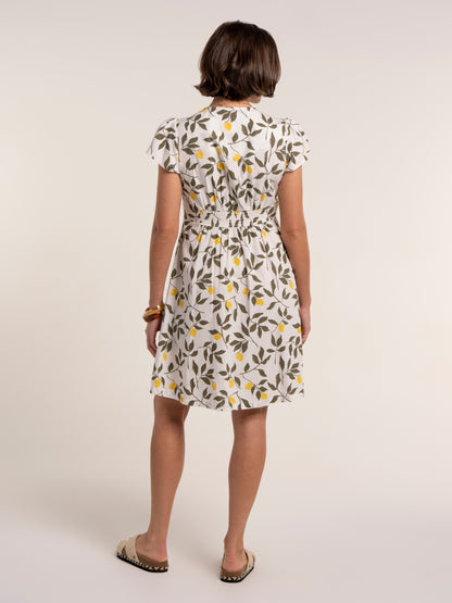 Brakeburn Renata Dress Cream