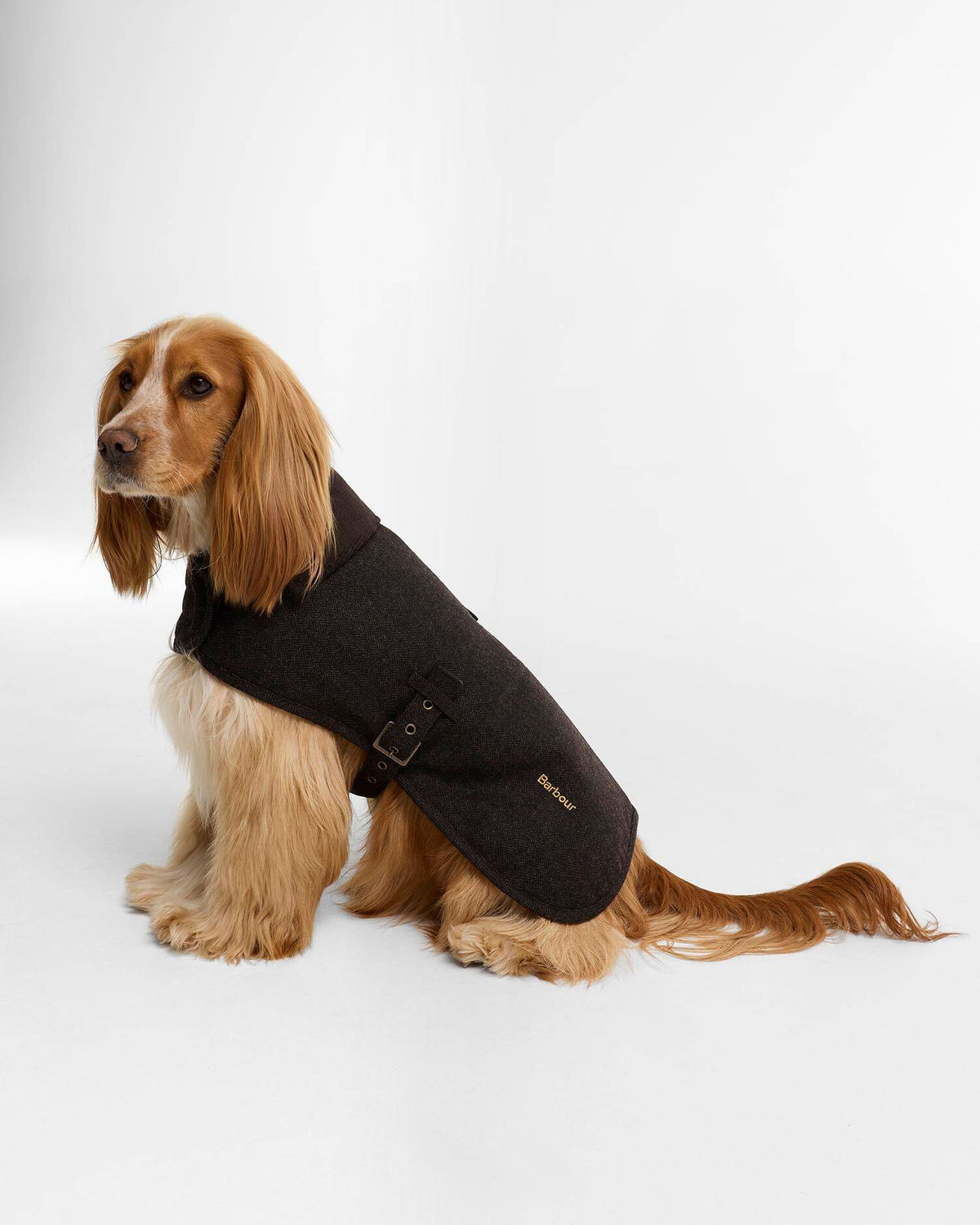 Barbour Barlow Tweed Dog Coat Brown