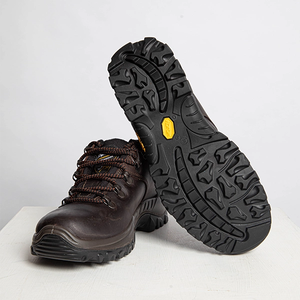 Dartmoor Walking Shoes