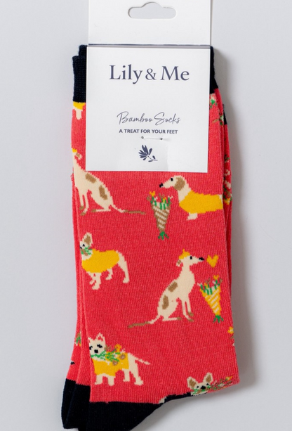 Daisy Dog Socks and Keyring Giftbox