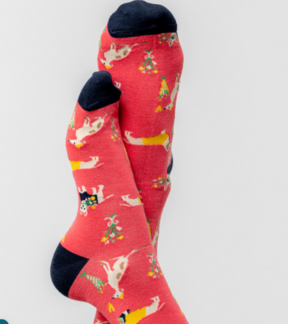 Daisy Dog Socks and Keyring Giftbox