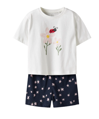 Summer 2 Piece Shorts & Top Set