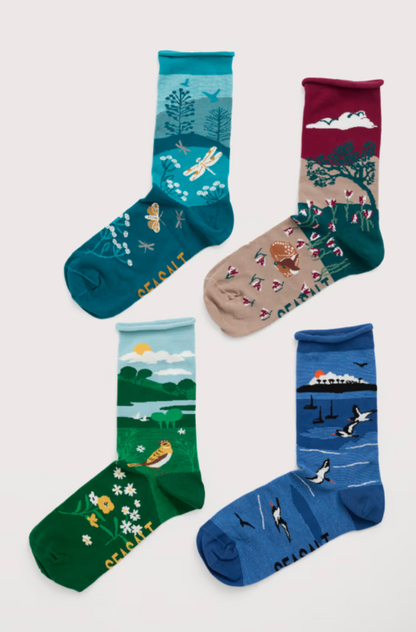Gift Box of 4 Women's Scenic Arty Socks