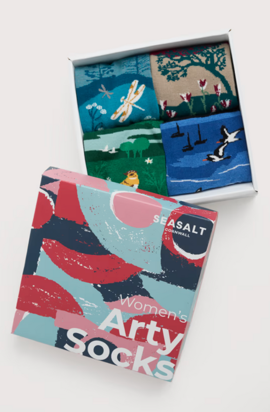 Gift Box of 4 Women's Scenic Arty Socks