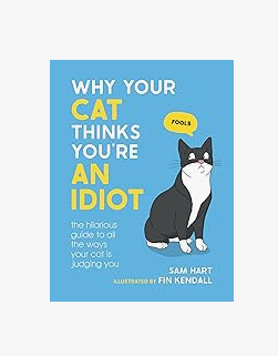 Why Your Cat Thinks You're An Idiot