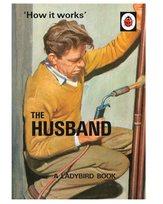 How it Works: The Husband (Ladybirds for Grown-Ups)