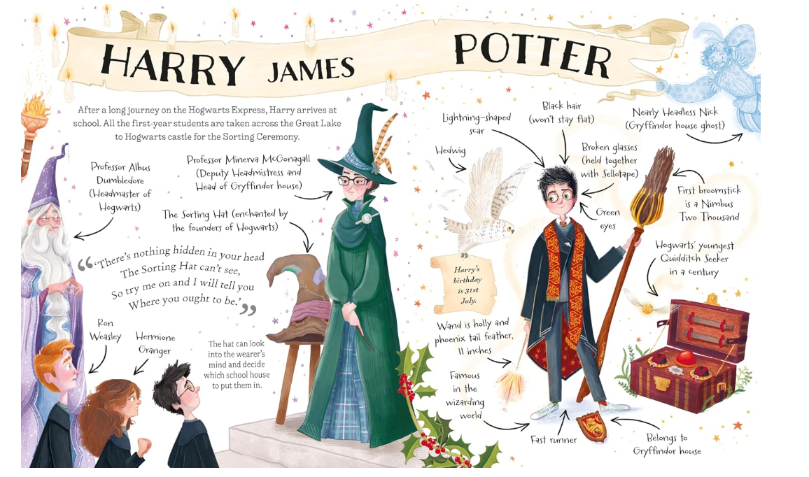 Harry Potter (Pocket Potters – Little Guides to the Harry Potter Stories)
