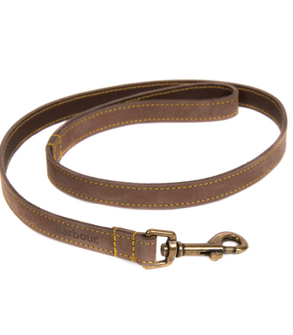 Leather Dog Lead