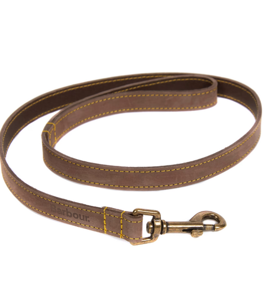 Leather Dog Lead