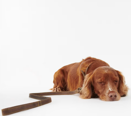 Barbour Leather Dog Lead Brown