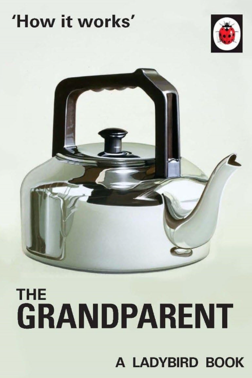 How it Works: The Grandparent (Ladybirds for Grown-Ups) Book