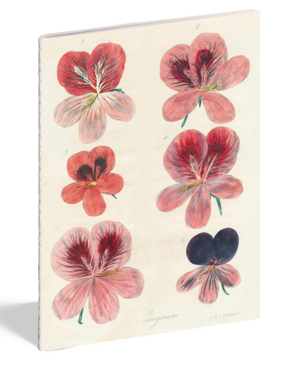 In the Garden Notebooks