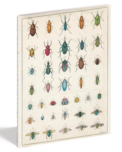 In the Garden Notebooks