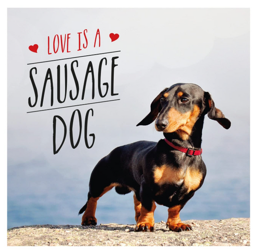 Love Is A Sausage Dog: A Pup-Tastic Celebration of Dachshunds - The World's Cutest Dogs
