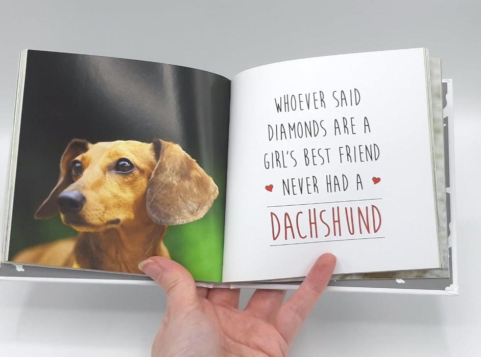 Love Is A Sausage Dog: A Pup-Tastic Celebration of Dachshunds - The World's Cutest Dogs