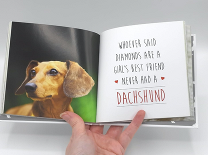 Love Is A Sausage Dog: A Pup-Tastic Celebration of Dachshunds - The World's Cutest Dogs