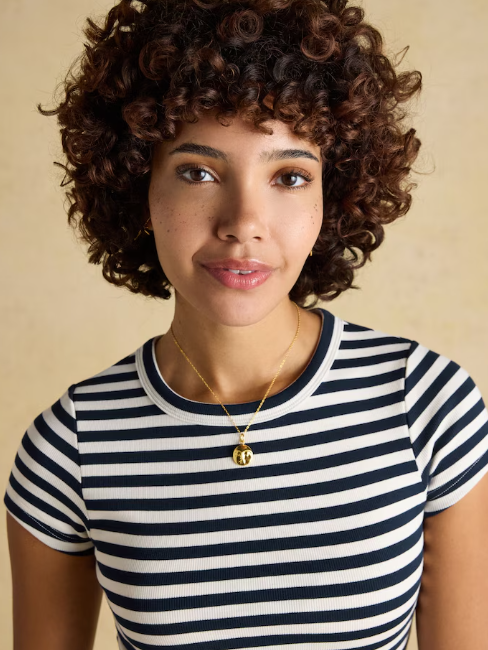 Joules Sophie Fitted Top Navy Striped