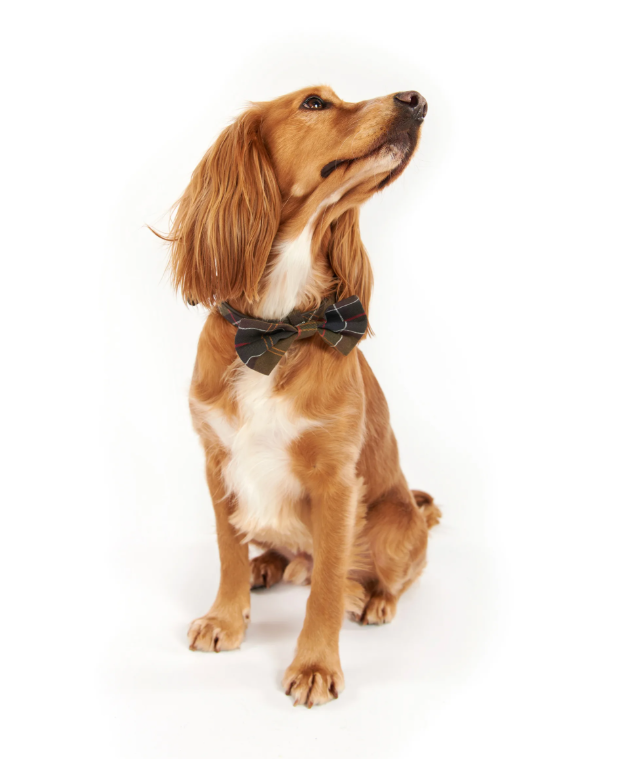 Barbour Tartan Dog Bow Tie