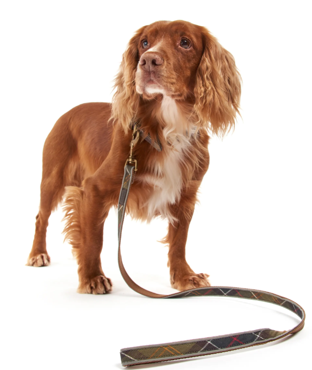 Barbour Reflective Tartan Dog Lead Classic Tartan