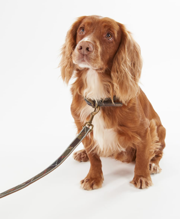 Barbour Reflective Tartan Dog Lead Classic Tartan