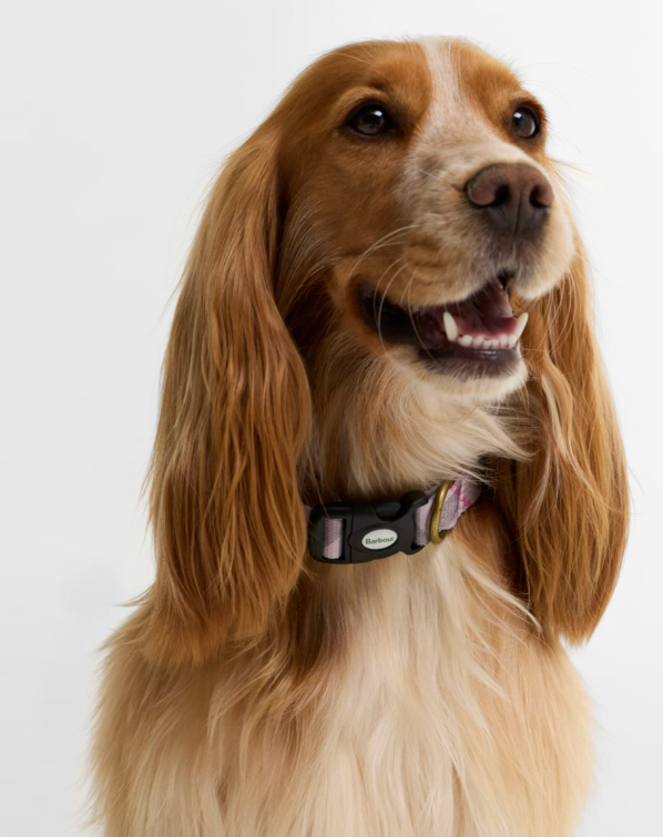 Barbour Tartan Printed Dog Collar Pink Tartan