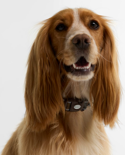 Barbour Reflective Tartan Dog Collar Classic Tartan
