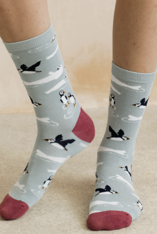 Lily & Me In The Bay Puffin Bamboo Socks