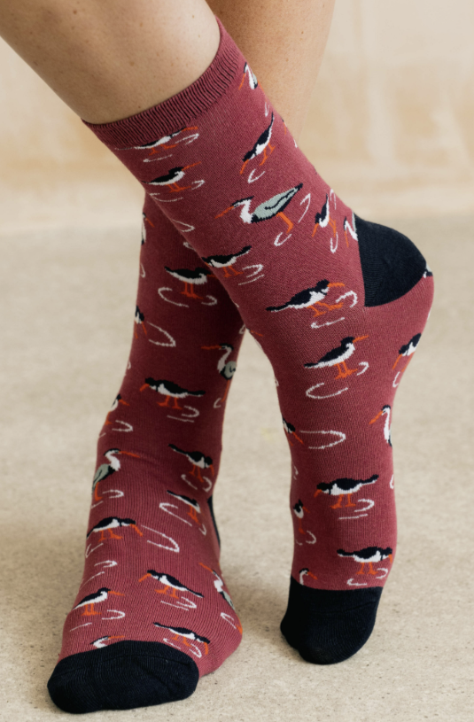 Lily & Me Shoreline Oystercatcher Bamboo Socks
