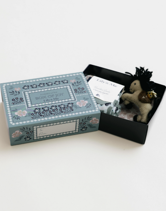 Lily & Me Folk Horse Sock Gift Box