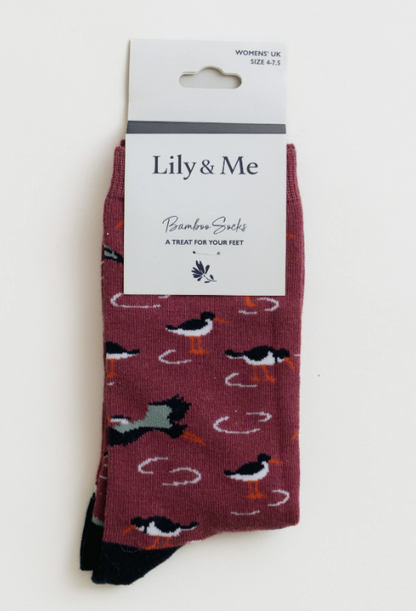 Lily & Me Shoreline Oystercatcher Sock Gift Box