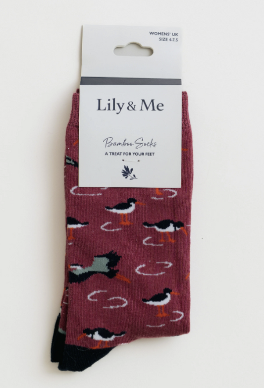 Lily & Me Shoreline Oystercatcher Sock Gift Box