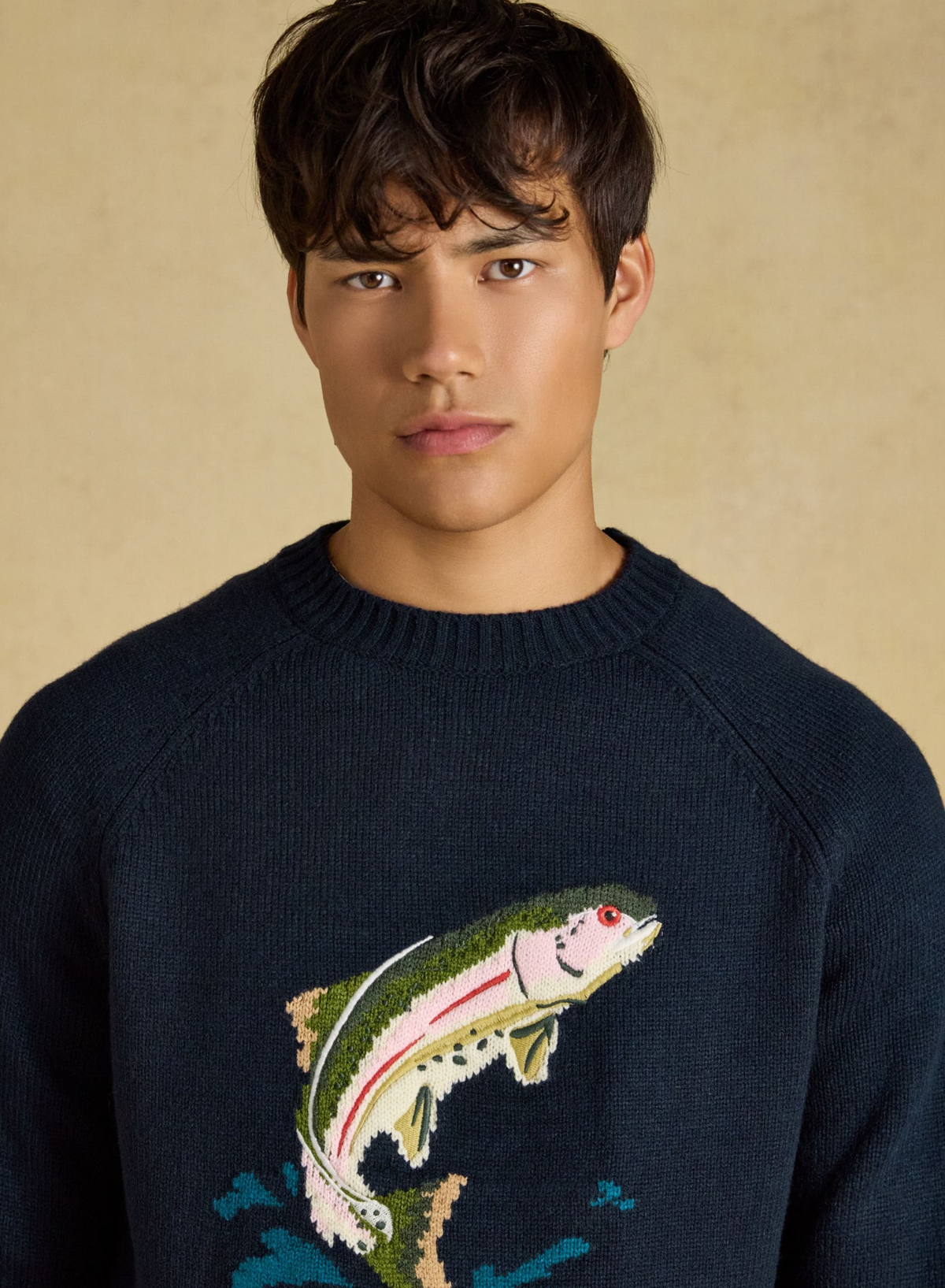 Joules Intarsia Crew Neck Fish Jumper Navy