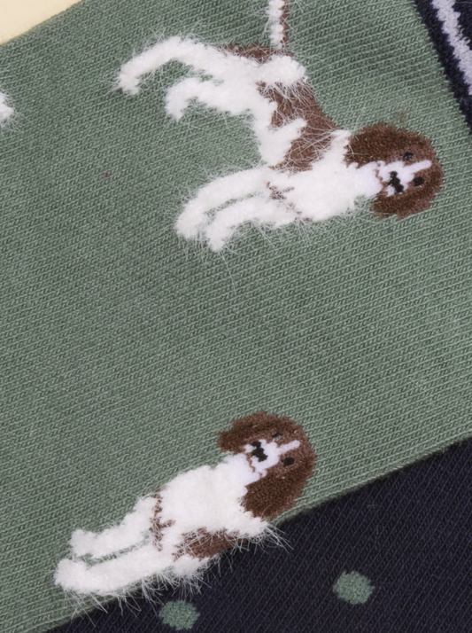 Joules Everyday 2 Pack Socks Green Dog