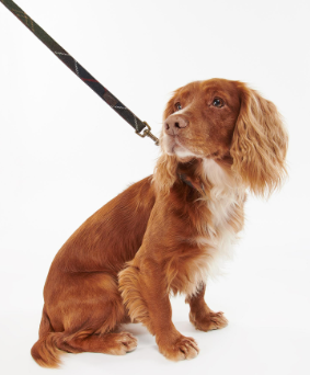 Barbour Tartan Dog Lead Green