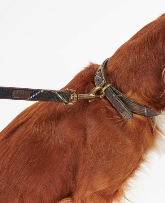 Barbour Tartan Dog Lead Green