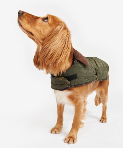 Quilted Dog Coat