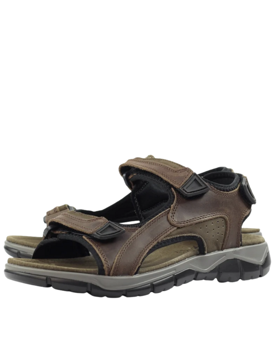 Lazy Dogz Lismore Sandals