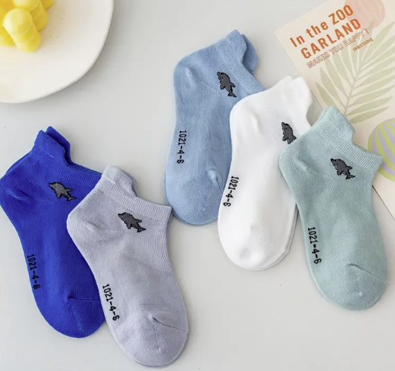 5 Pack Children's Dolphin Trainer Socks